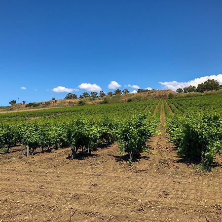 Fattoria Manostalla Villa Chiarelli Balestrate Luaran gambar