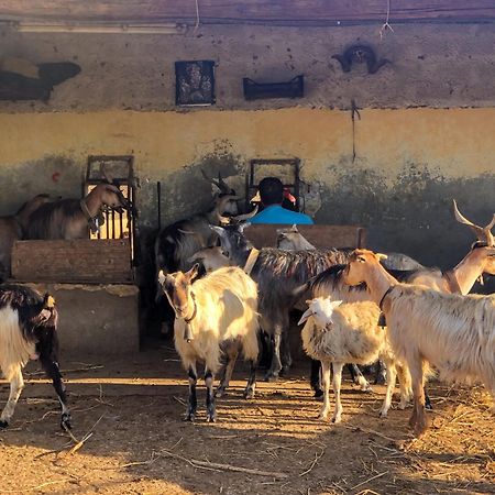 Fattoria Manostalla Villa Chiarelli Balestrate Luaran gambar