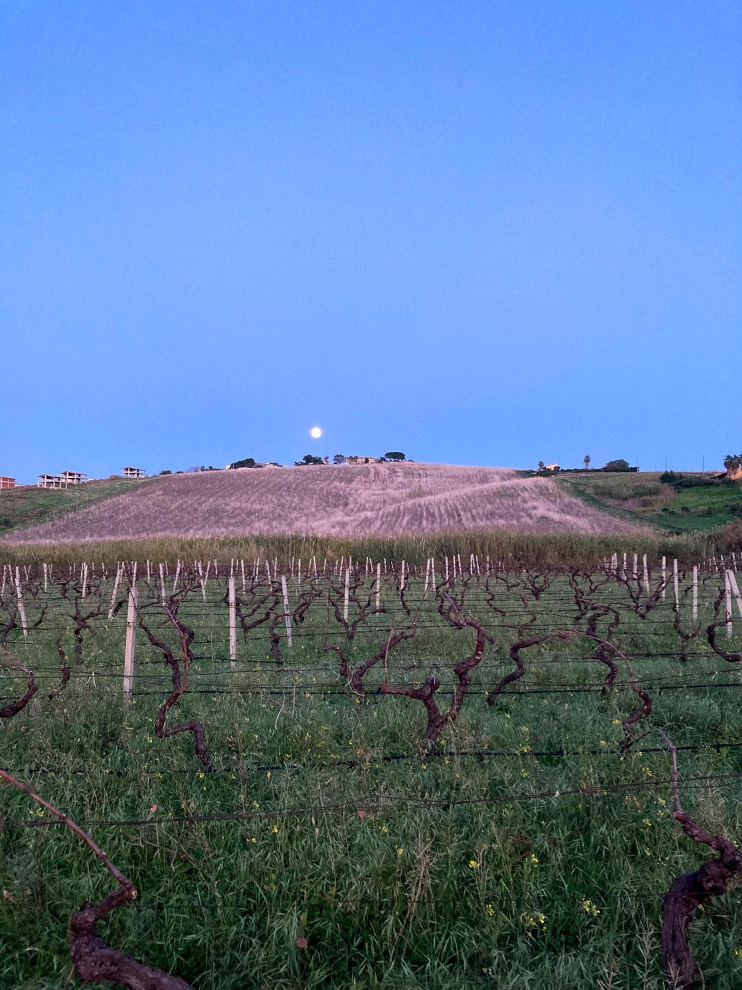 Fattoria Manostalla Villa Chiarelli Balestrate Luaran gambar