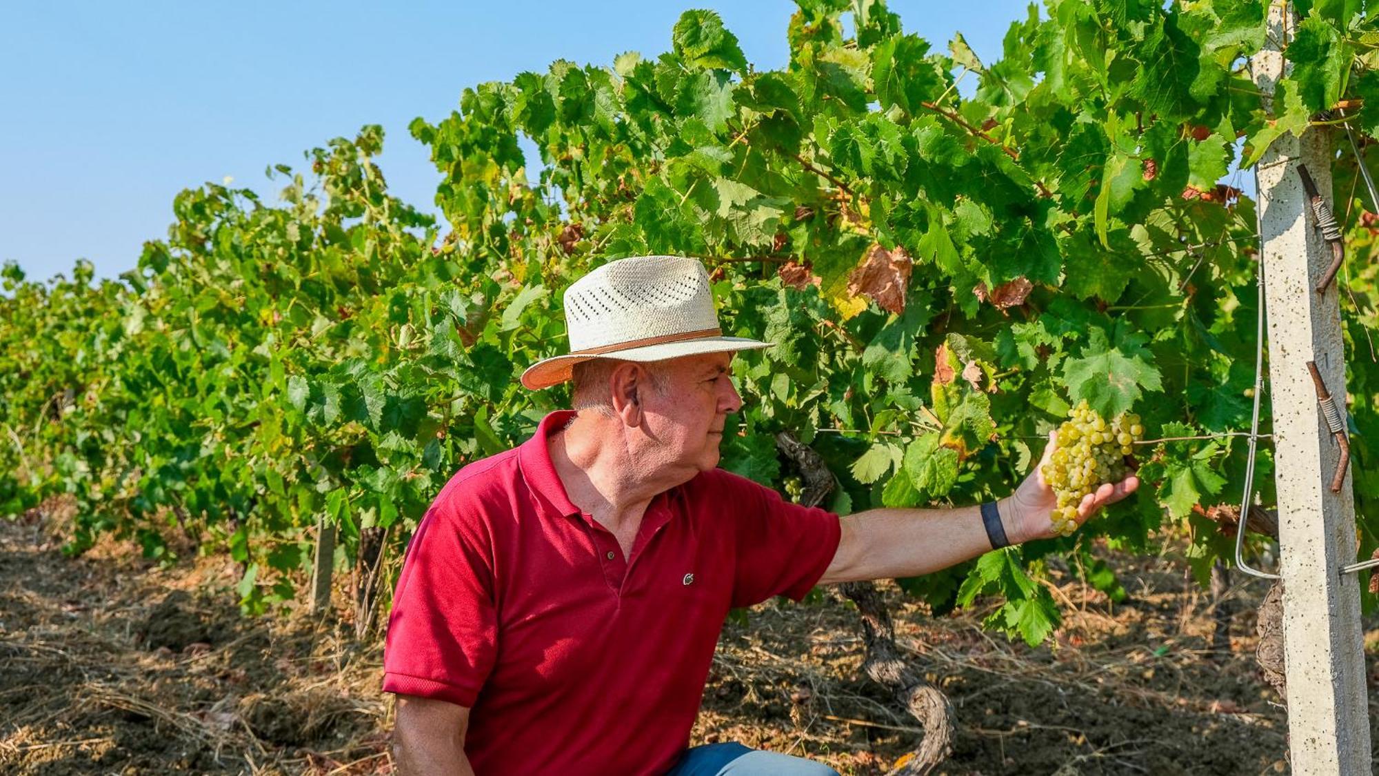 Fattoria Manostalla Villa Chiarelli Balestrate Luaran gambar