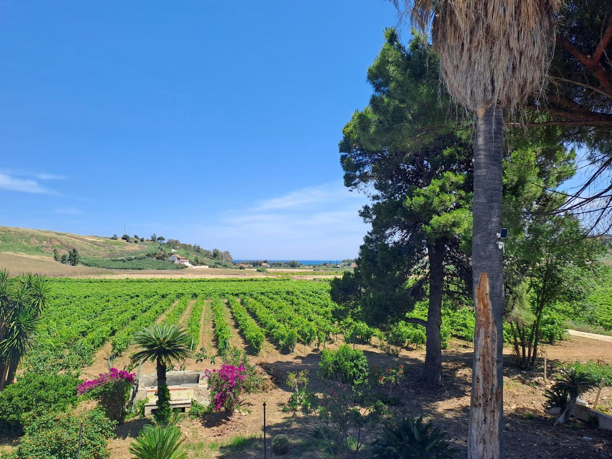 Fattoria Manostalla Villa Chiarelli Balestrate Luaran gambar