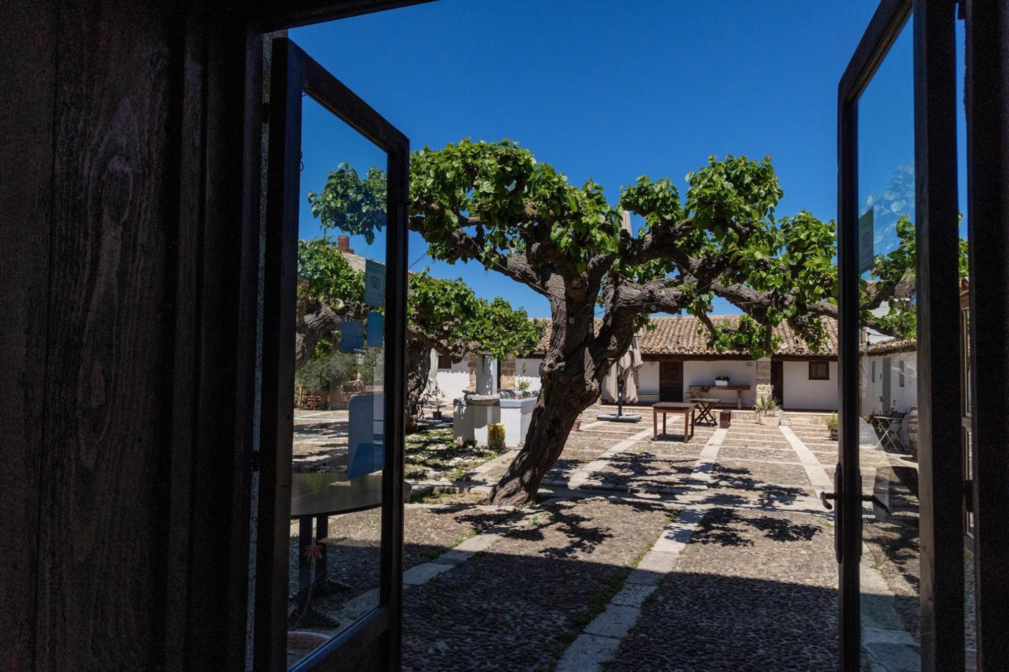 Fattoria Manostalla Villa Chiarelli Balestrate Luaran gambar